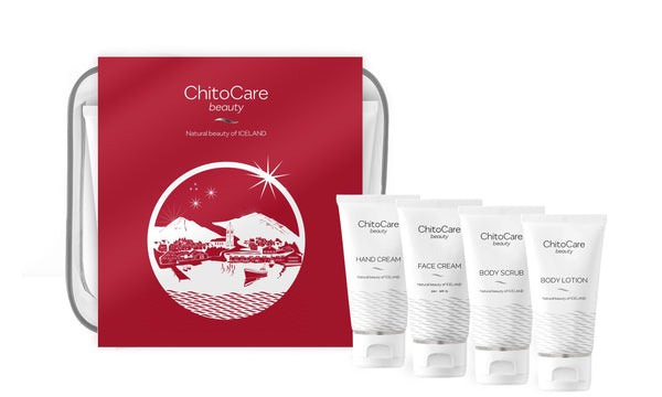 Gift Travel Kit